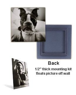 Mounted Prints