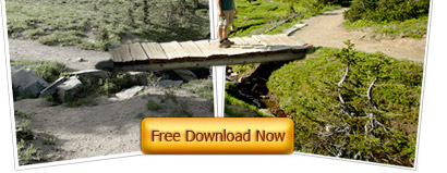 Free Download Now