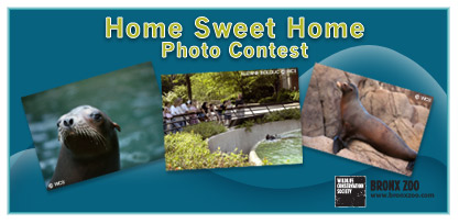 Photo Contest Main Image
