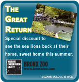 Photo Contest Promo Tile